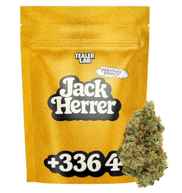 Jack Herer THV+