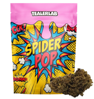 Spider Pop CBN+