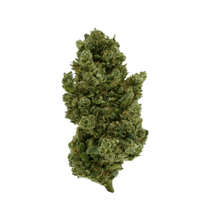 Sango Kush CBX — alternate view