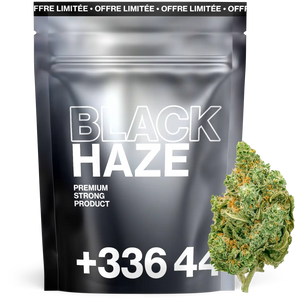 Black Haze THV+