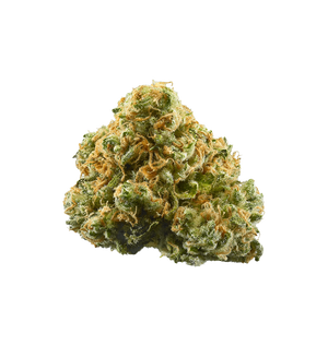 Modjo Mango THV+ — alternate view