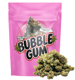 Bubble Gum THCA