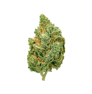 Black Haze THV+ — alternate view