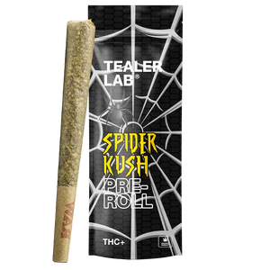 Spider THV+ Preroll Pack