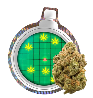 DBZ OG CBX