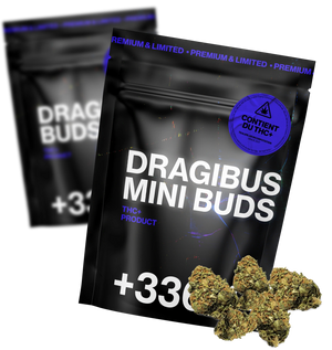 DragiBud THV+