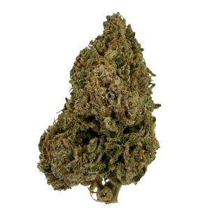 Gorilla Glue 28% NX5 — alternate view