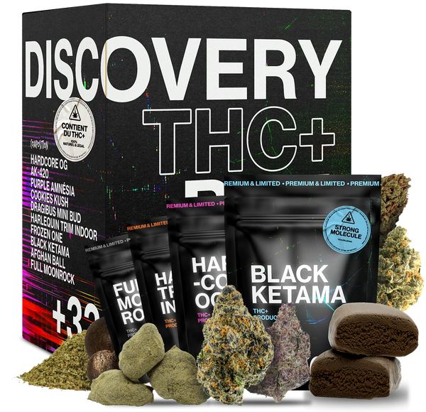THV+ Discovery Bundle