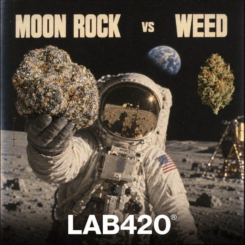 Astronaute rétro tenant un moon rock géant sur la lune - moon rock vs weed