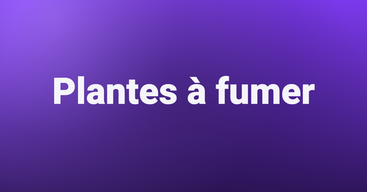 Plantes à fumer