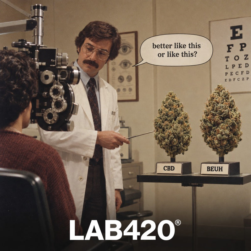 Opticien rétro faisant comparer deux buds CBD et beuh - différence visuelle