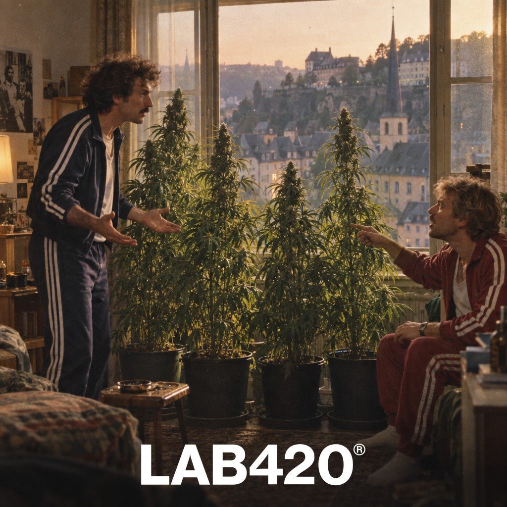 Is cannabis legal in Luxembourg?