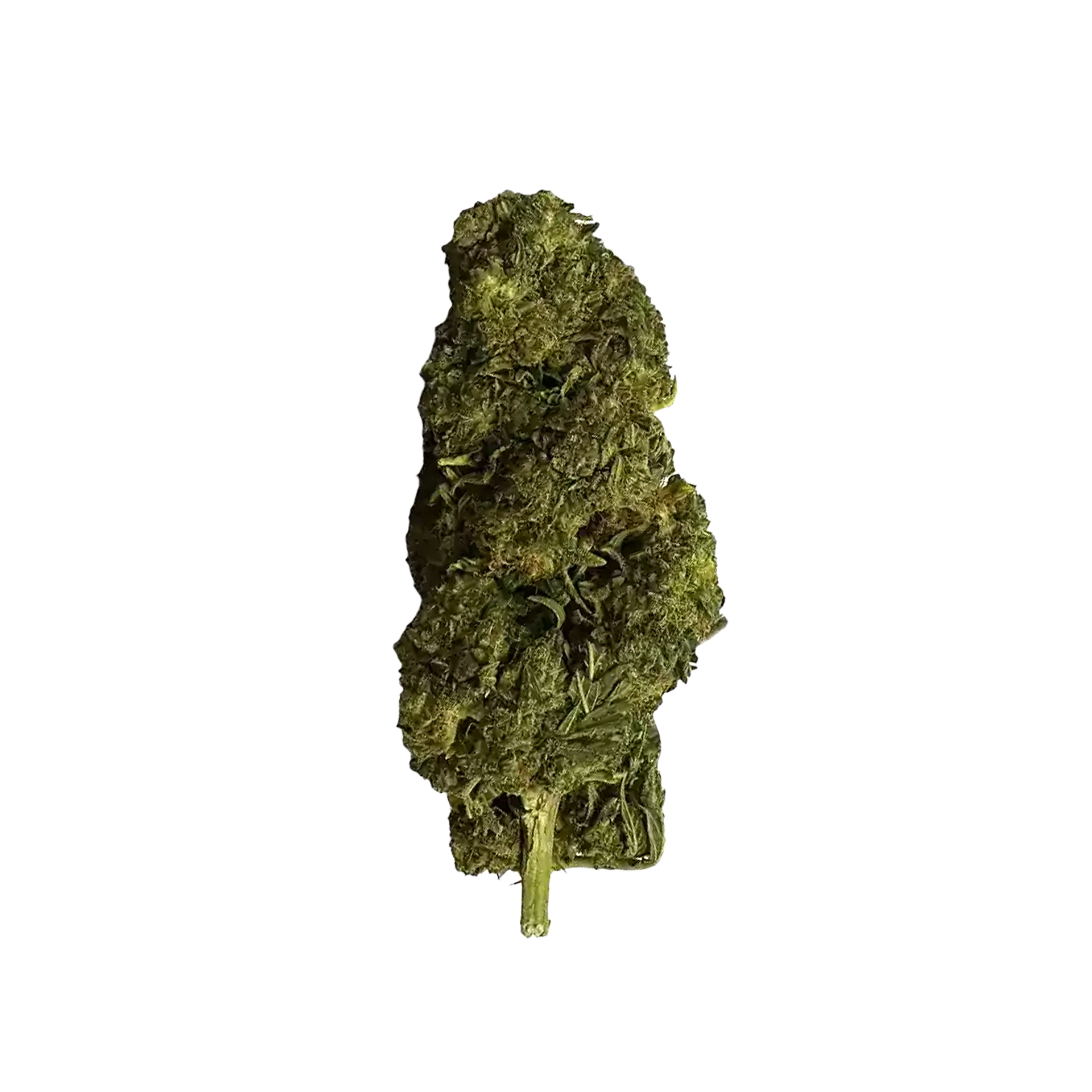 Wolv'kush 10 OH HHC