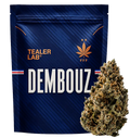 Dembouz THCA