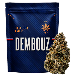 Dembouz THCA