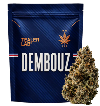 - 🏆 Promo Mundial
