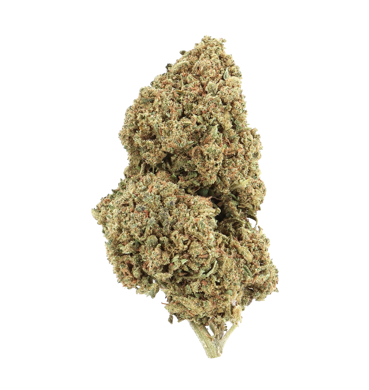 BUBBAH KUSH CBN+