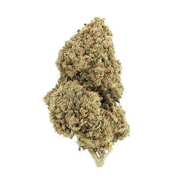 BUBBAH KUSH CBN+