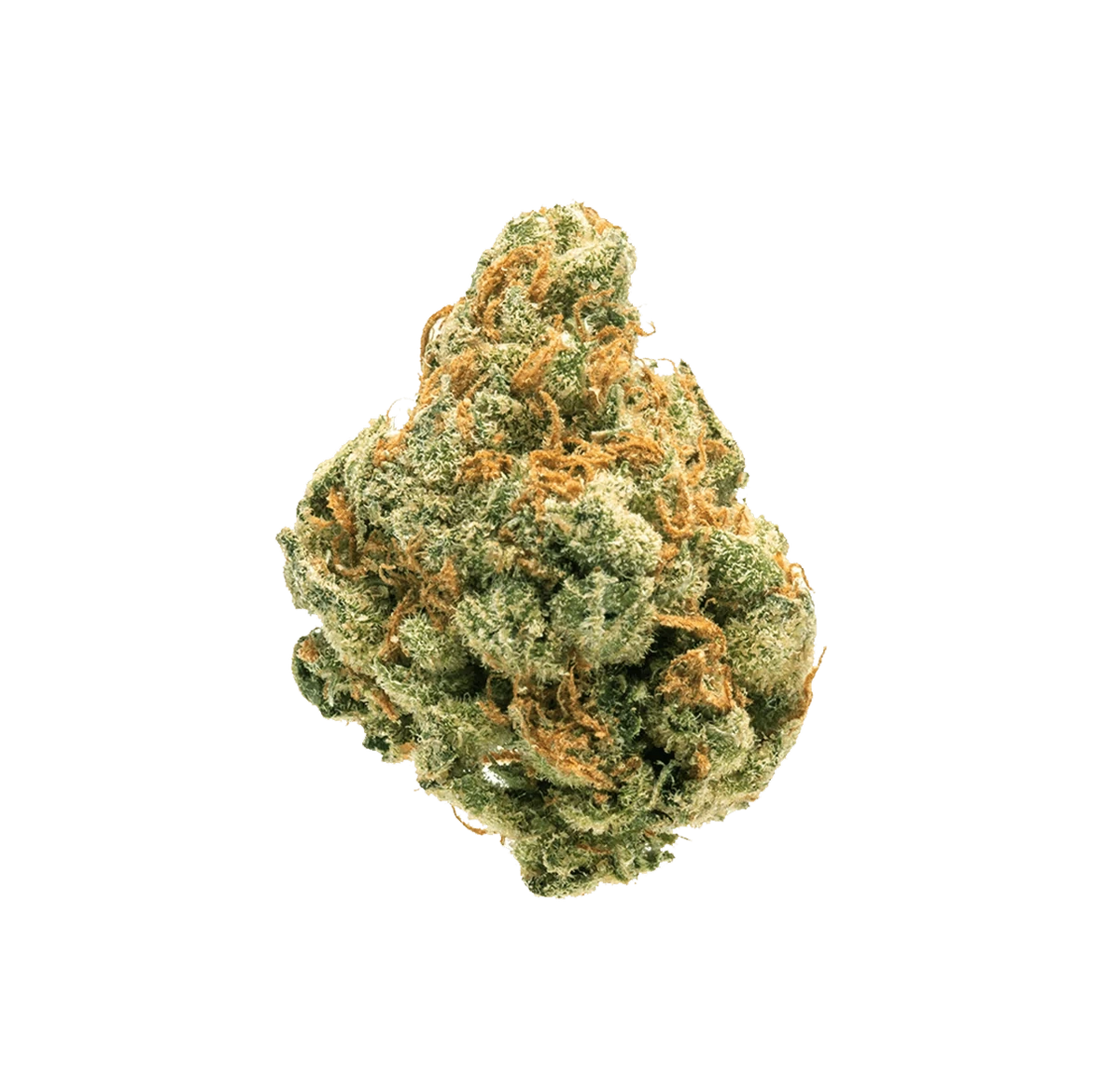 Rainbow OG CBN+