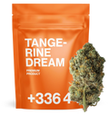 Tangerine Dream CBN+