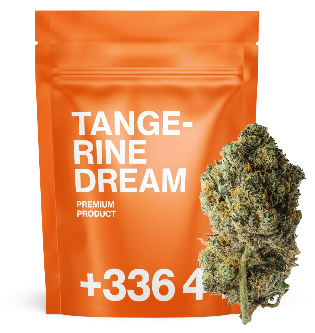 Tangerine Dream CBN+