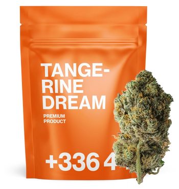 Tangerine Dream CBN+