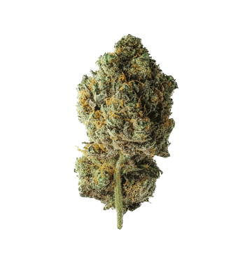 Tangerine Dream CBN+