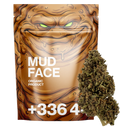 MUD FACE 10 OH HHC
