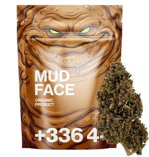 MUD FACE 10 OH HHC