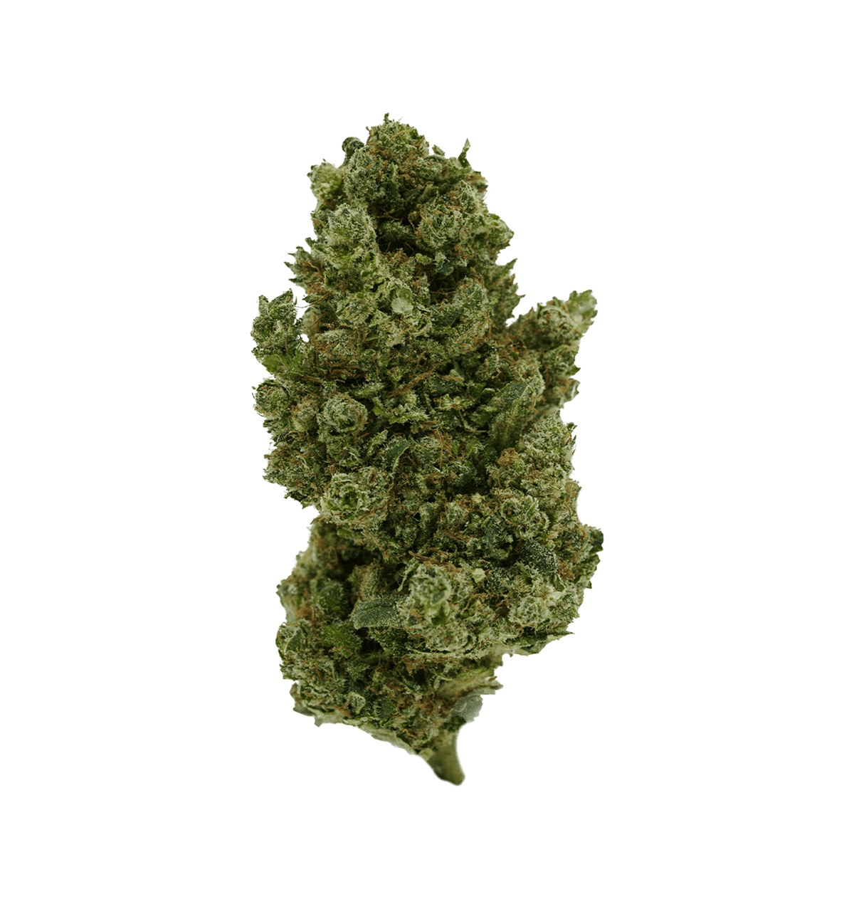 Sango Kush CBX