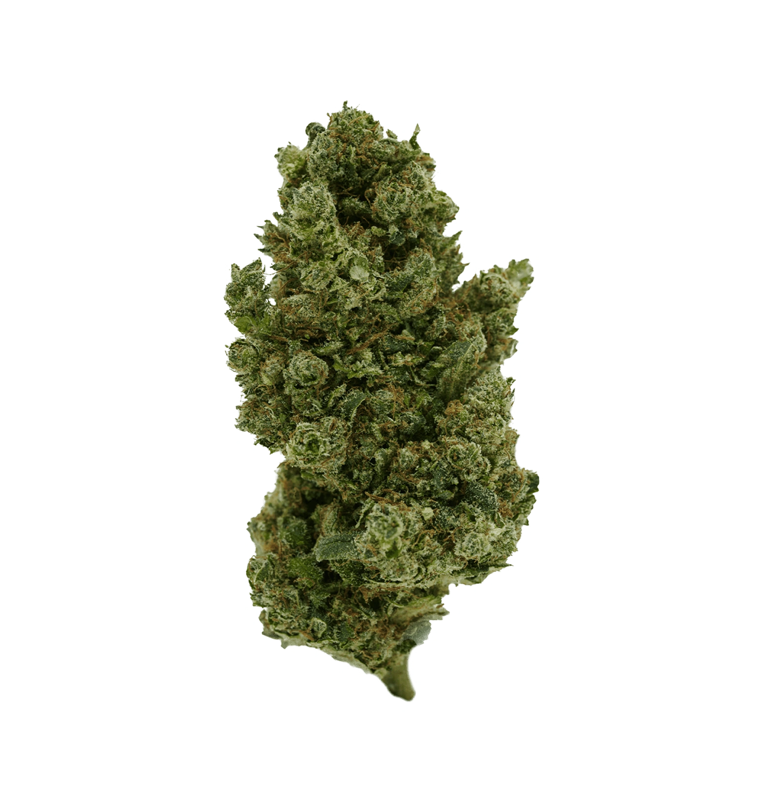 Sango Kush CBX