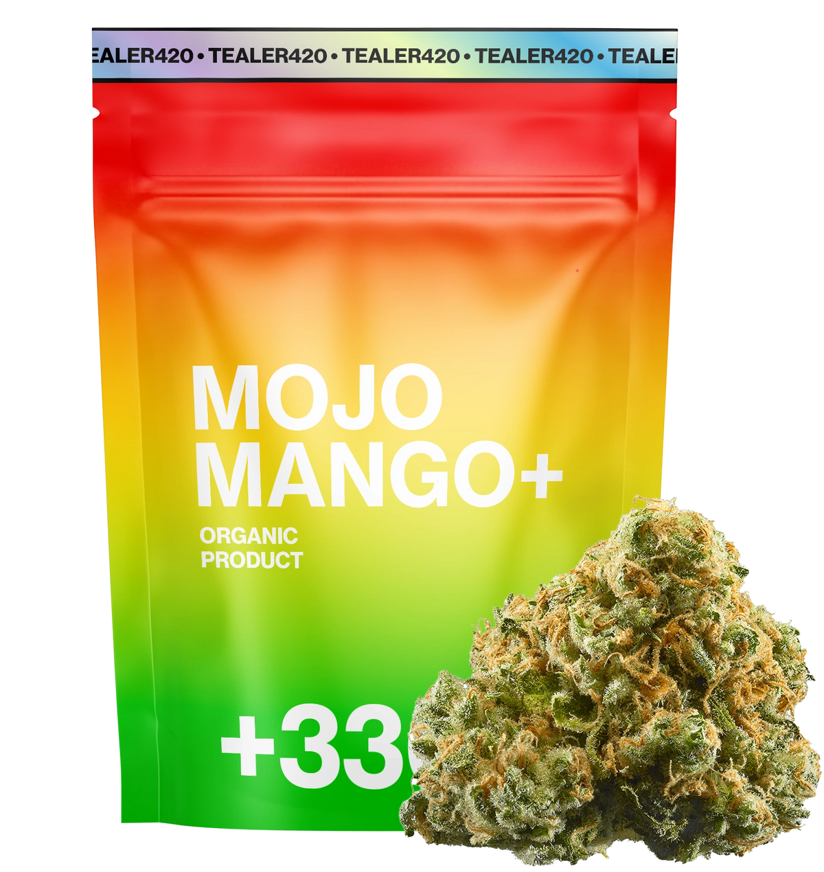 Modjo Mango THV+