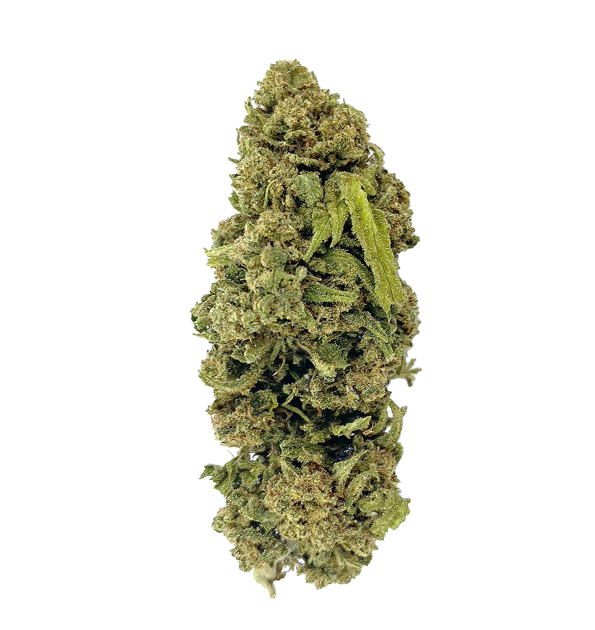 Pickle Haze 29% THCA