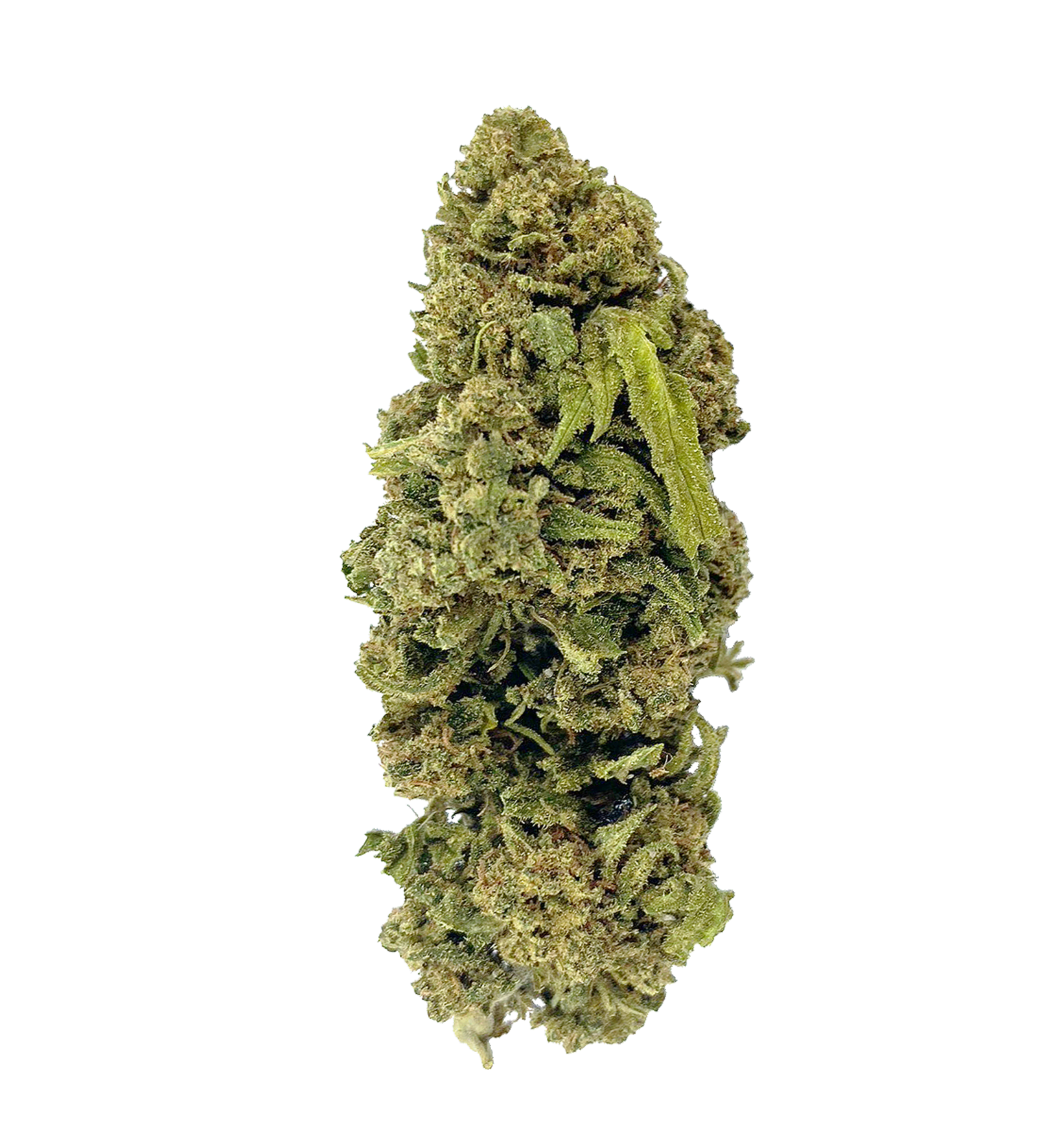 Pickle Haze 29% THCA