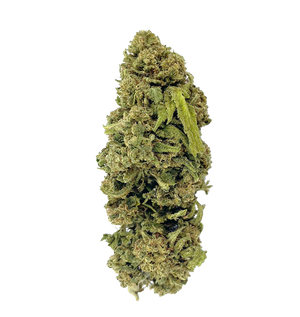 Pickle Haze 29% THCA — vue alternative