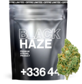 Black Haze THV+