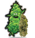 Pickle Haze 29% THCA