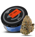 Gelato #33 THCA