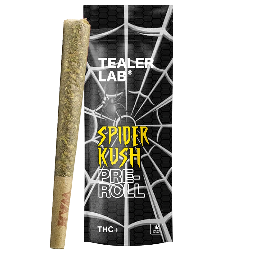 Preroll Spider THC+