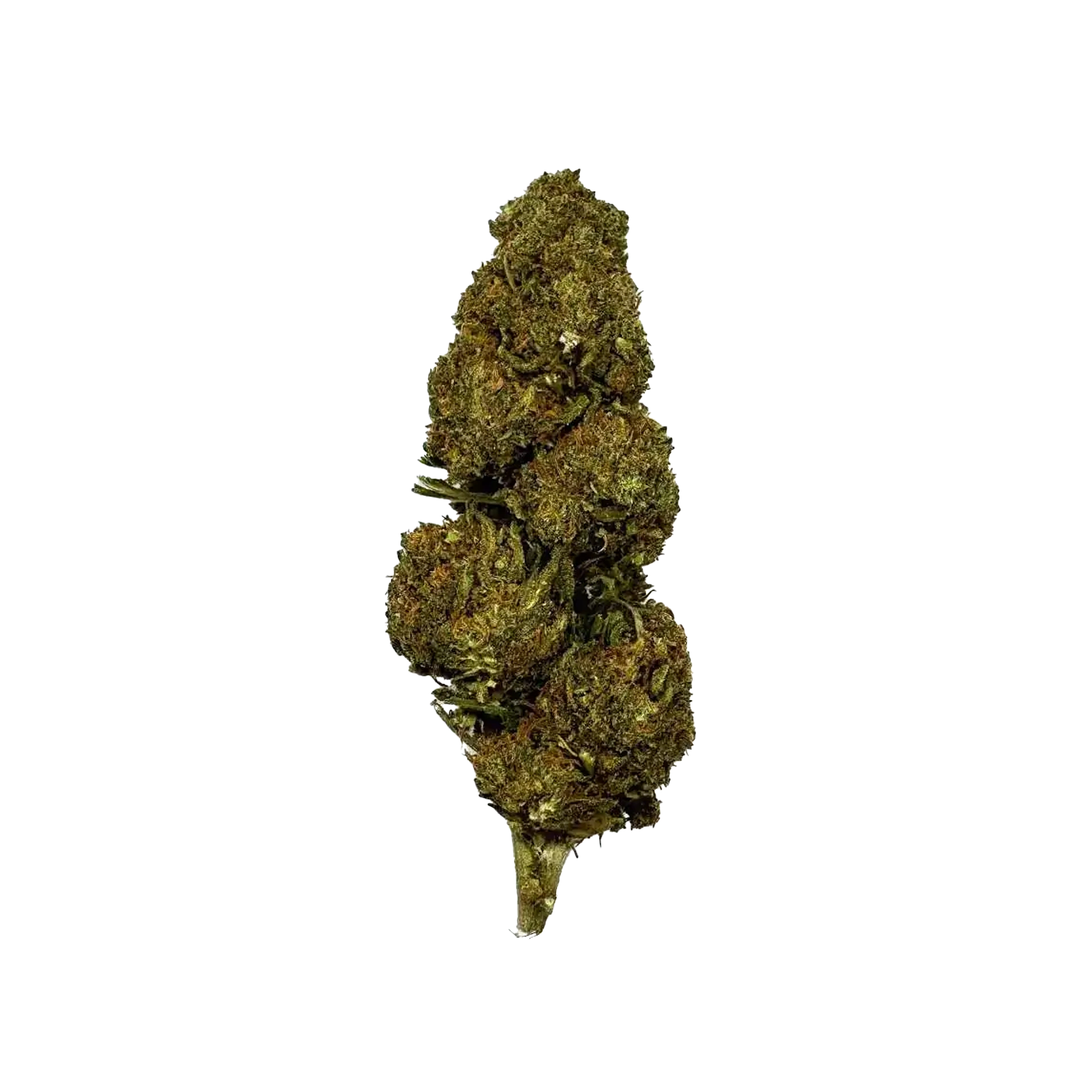 Dark Night OG 10 OH HHC