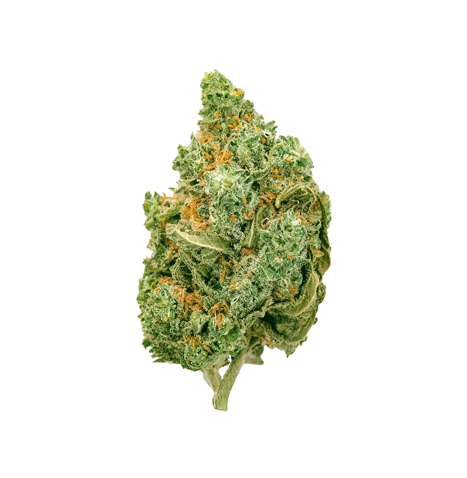 Black Haze THC+