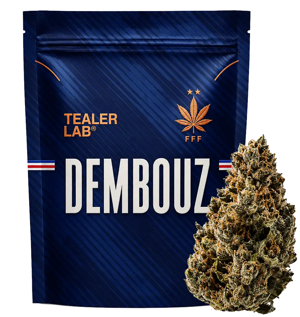Dembouz THCA