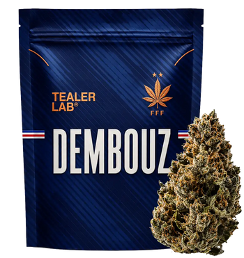 Dembouz THCA