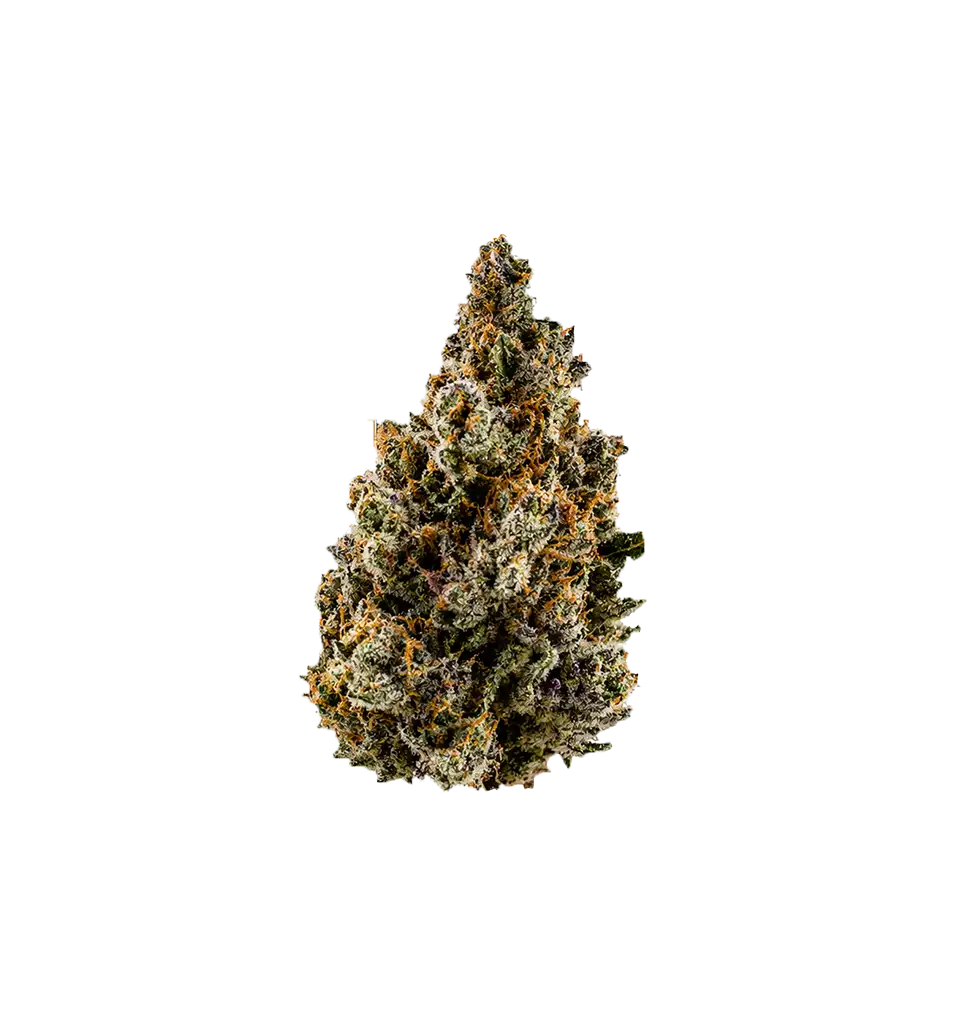 GOAT OG THCA