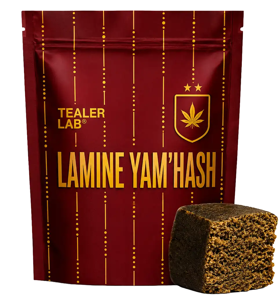Lamine Yam'hash THCA