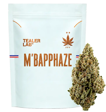 M'bapphaze THCA