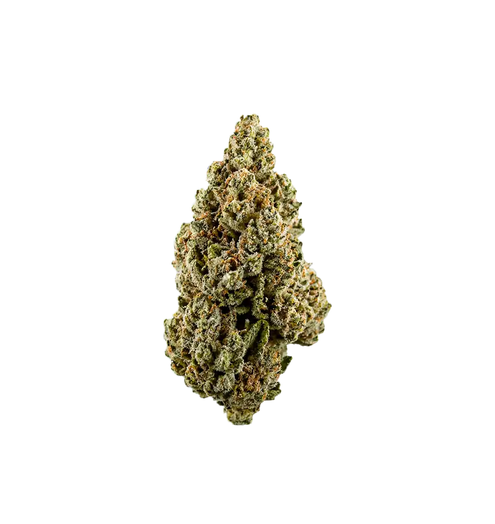 M'bapphaze THCA
