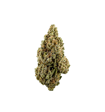 M'bapphaze THCA