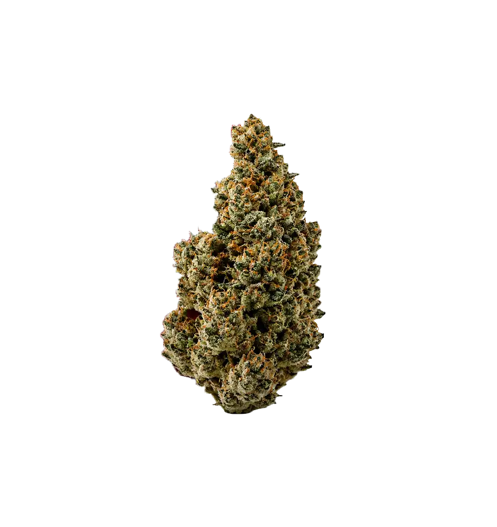 Ronald'og Kush THCA 🇵🇹