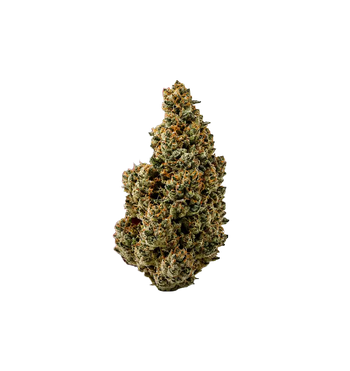 Ronald'og Kush THCA 🇵🇹